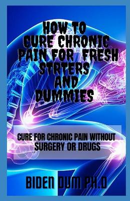 Book cover for How to Cure Chronic Pain for Fresh Strters and Dummies