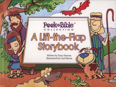 Book cover for A Lift the Flap Storybook