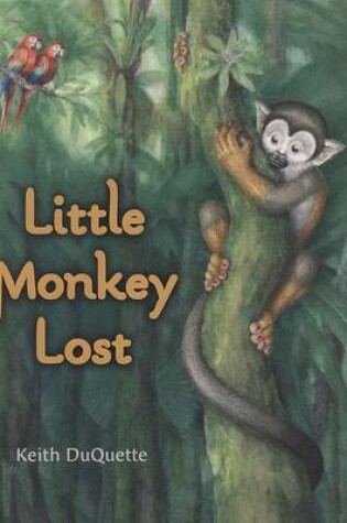 Cover of Little Monkey Lost