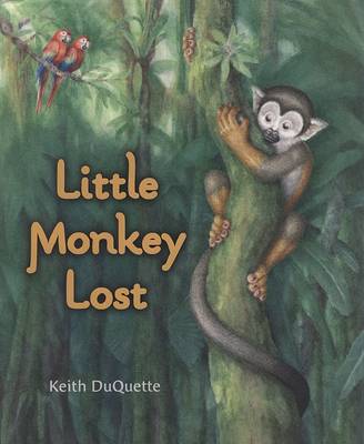 Book cover for Little Monkey Lost