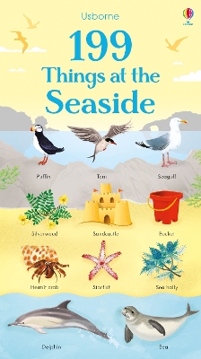 Book cover for 199 Things at the Seaside