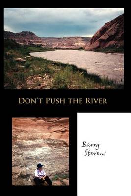Book cover for Don't Push the River