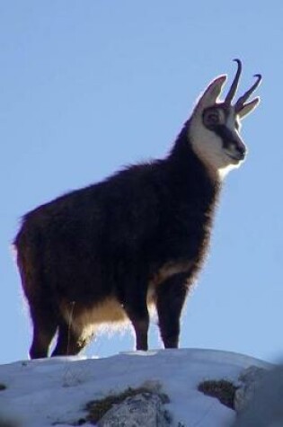 Cover of Chamois Goat-Antelope in Europe Journal