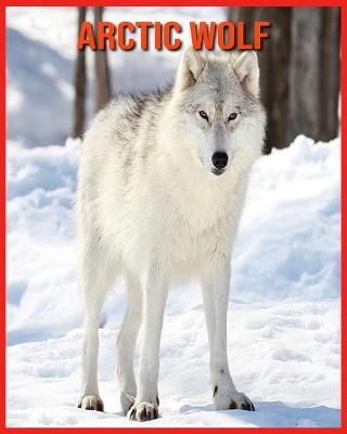 Book cover for Arctic wolf