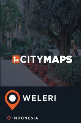 Cover of City Maps Weleri Indonesia