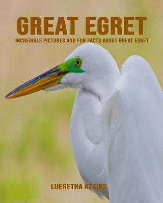 Book cover for Great Egret