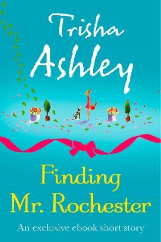 Cover of Finding Mr Rochester