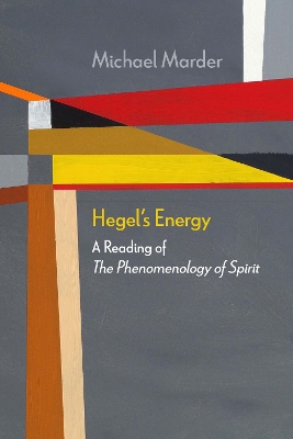 Book cover for Hegel's Energy