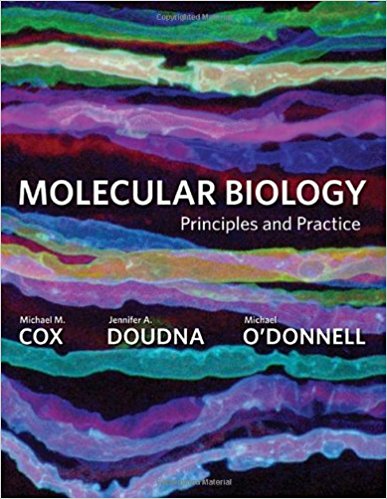 Book cover for Molecular Biology