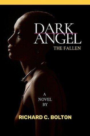 Cover of Dark Angel