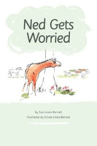 Cover of Ned Gets Worried