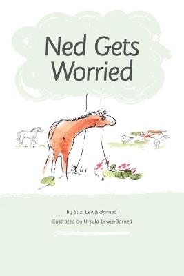 Book cover for Ned Gets Worried