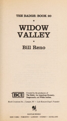 Book cover for Widow Valley