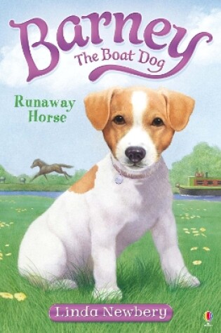 Cover of Runaway Horse