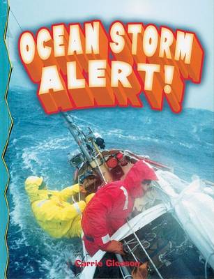 Book cover for Ocean Storm Alert!