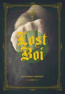 Book cover for Lost Boi