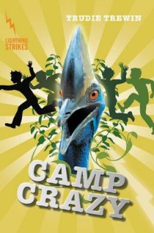 Cover of Camp Crazy