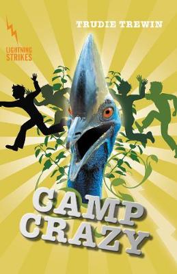 Book cover for Camp Crazy