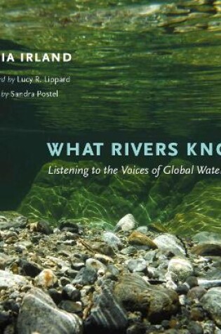 Cover of What Rivers Know