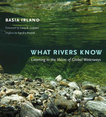 Book cover for What Rivers Know