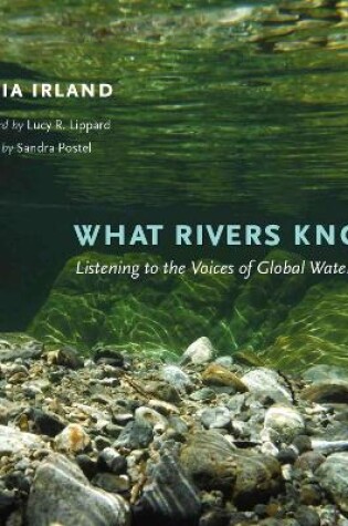 Cover of What Rivers Know