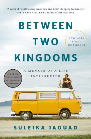 Book cover for Between Two Kingdoms