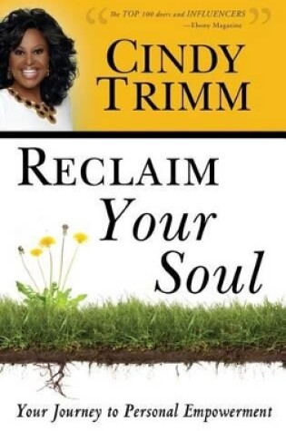 Cover of Reclaim Your Soul