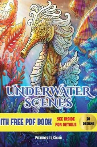 Cover of Underwater Scenes Pictures to Color