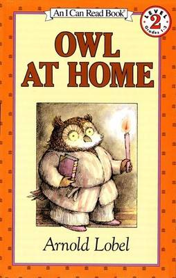 Book cover for Owl at Home