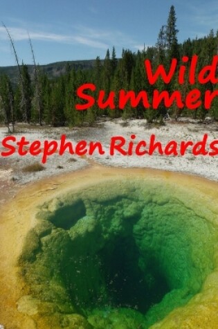 Cover of Wild Summer (Free Spirit Adventures : RV)