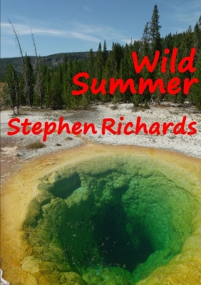 Book cover for Wild Summer (Free Spirit Adventures : RV)