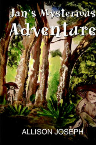 Cover of Jan's Mysterious Adventure