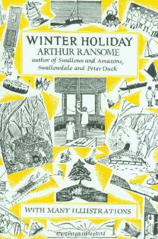 Cover of Winter Holiday