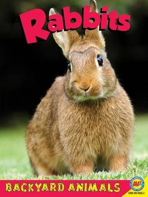 Book cover for Rabbits with Code