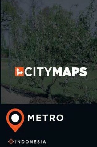 Cover of City Maps Metro Indonesia