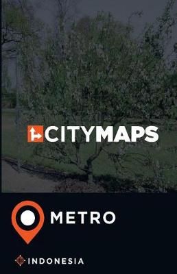 Book cover for City Maps Metro Indonesia