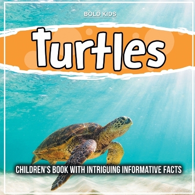 Book cover for Turtles