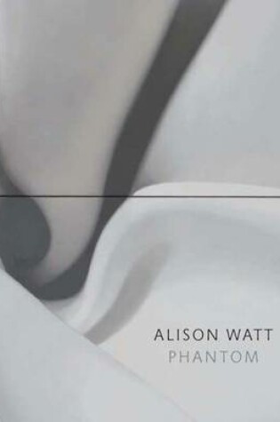 Cover of Alison Watt