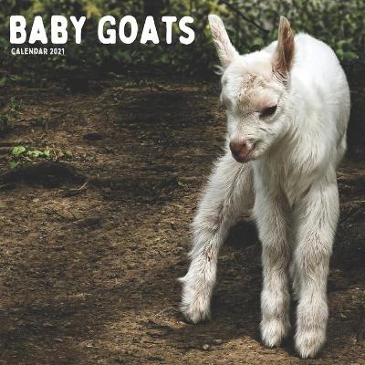 Book cover for Baby Goats Calendar 2021