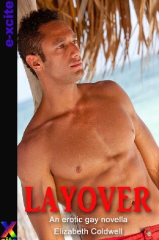 Cover of Layover