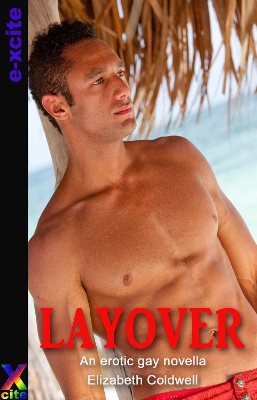 Book cover for Layover