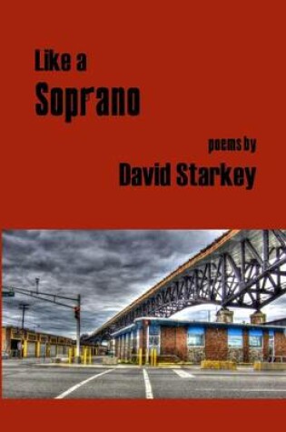 Cover of Like a Soprano
