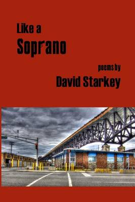 Book cover for Like a Soprano