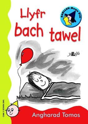 Book cover for Cyfres Darllen Mewn Dim: Llyfr Bach Tawel