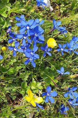 Book cover for Blue Gentian Mountain Wildflowers Nature Journal