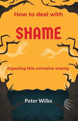 Book cover for Shame