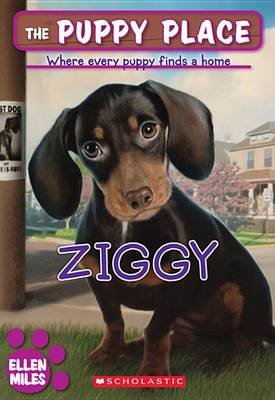 Book cover for Ziggy