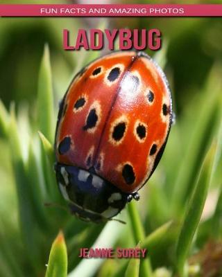 Book cover for Ladybug