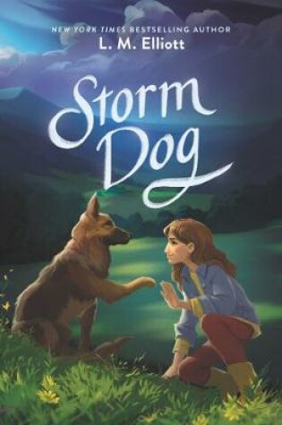 Cover of Storm Dog