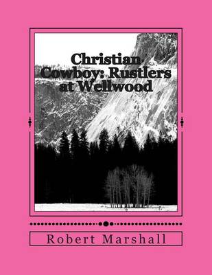 Book cover for Christian Cowboy